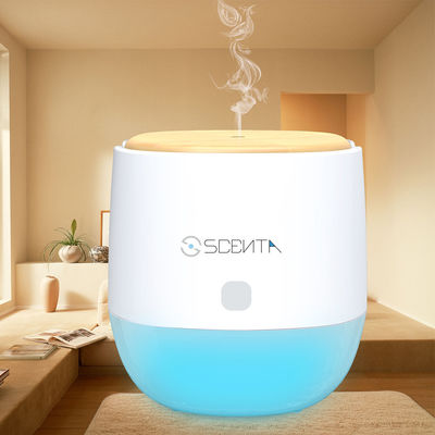 RoHS 5V Twin Pump USB Charging Essential Oil Refill Aromatherapy Aroma Diffuser